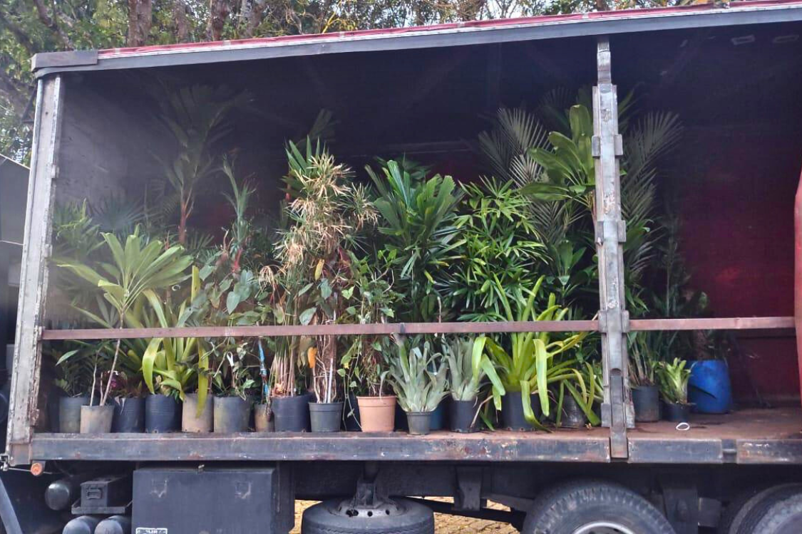 Design sem nome (18).png