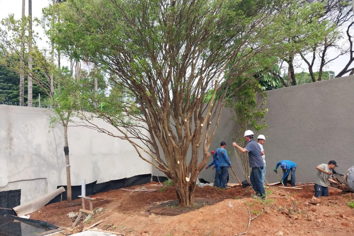 Design sem nome (17).png